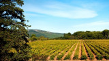 mas-rouge-2-14890026