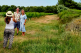 mas-rouge-walk-and-taste-promenade-gourmande-11574237