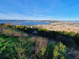 panoramique-st-clair-f-ambrosino-ot-thau-8485-1200px-14525703