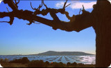 sete-grand-tour-schlama-arnaud-15-16098572