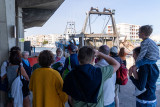 viiste-guidee-de-la-criee-m-ricard-ot-thau-29454-resultat-13028318