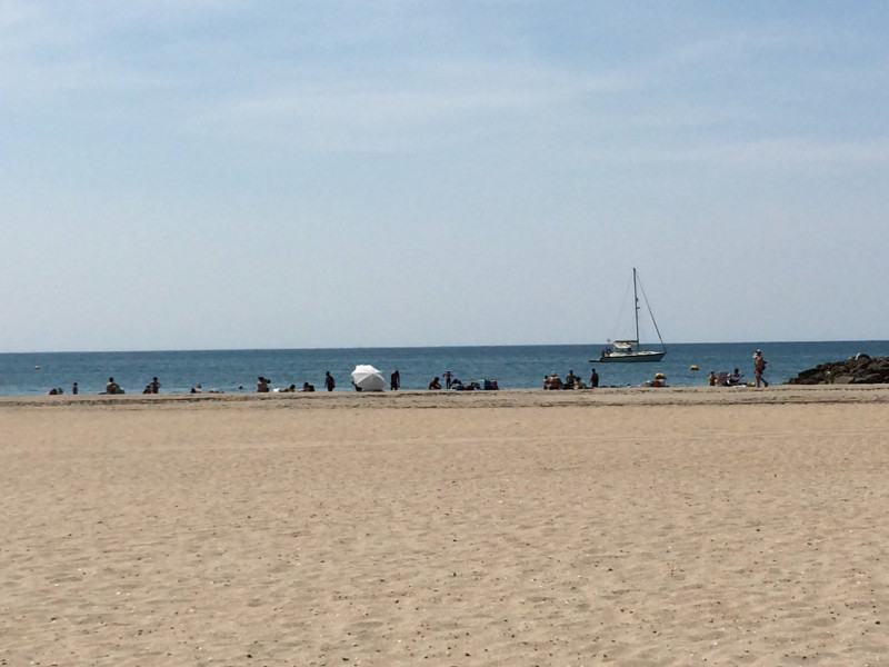 11703229_965546483489765_2799642924219128008_o