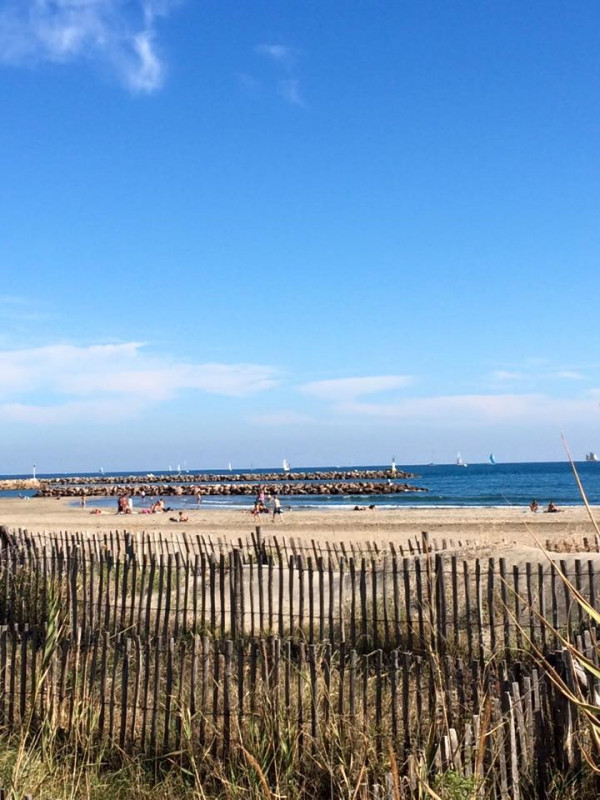 Plage de sable blond en face de l'appartement : 50 m