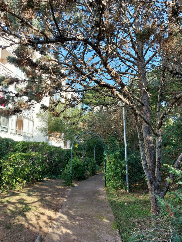 Jardin4