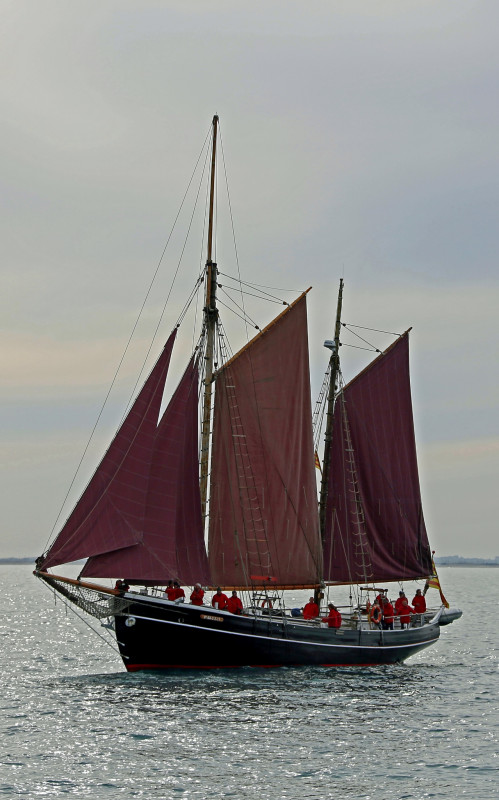 De nombreux bateaux font escales à Sète De nombreux bateaux font escales à Sète