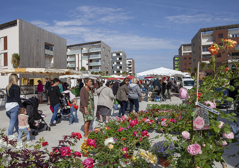 marché-salinsIMG_5740.jpg