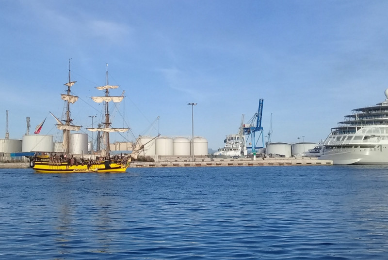 Divers bateaux se cotoient à Sète.jpg