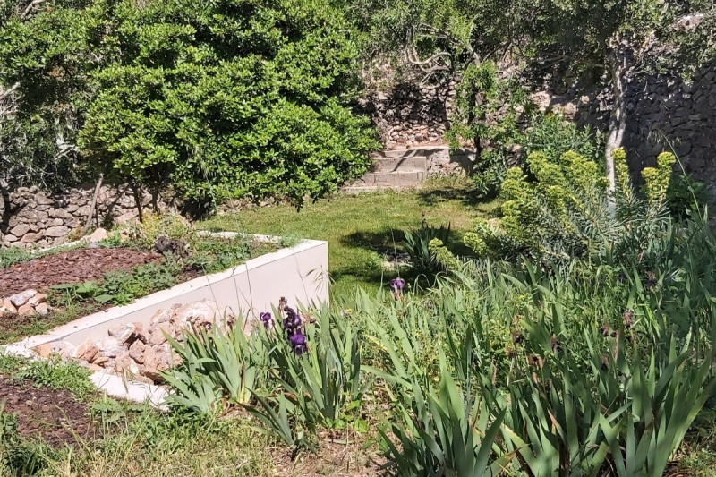 Sète - Maison entière et jardin sur le Mont Saint Clair (vue mer et étang)_7