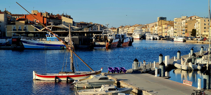VISITE GUIDÉE : LA VADROUILLE AUTOUR DU THON