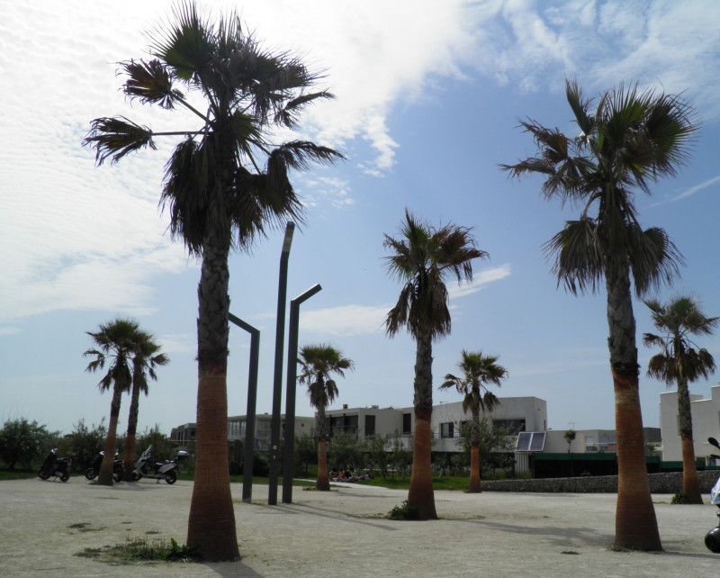 Profiter des vacances...