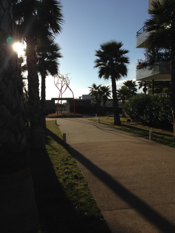 Se promener et profiter de la végétation Se promener et profiter de la végétation