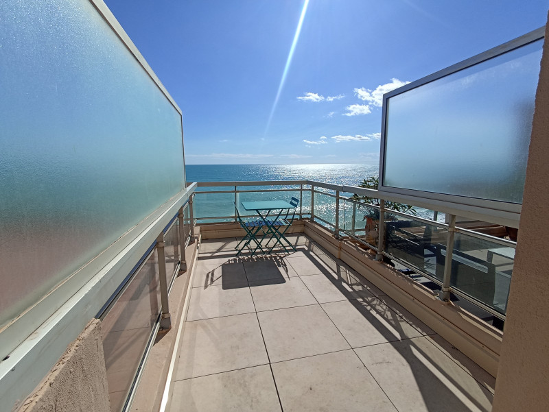 IMG_20241008_141134 IMG_20241008_141134