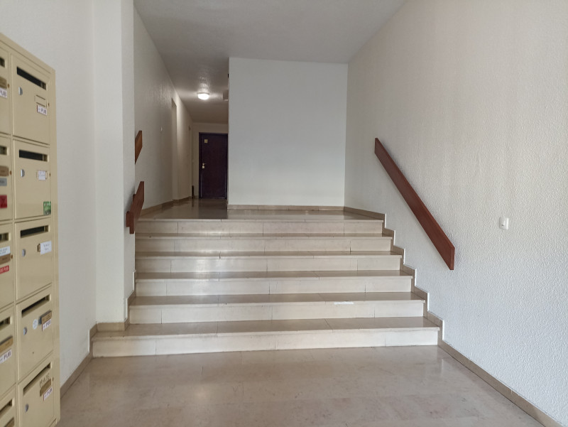 IMG_20241008_143204 IMG_20241008_143204