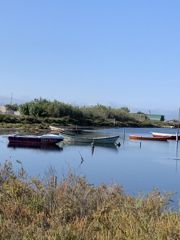 LOCATION SETE CORNET DOMINIQUE L'ESTANQUE (2)