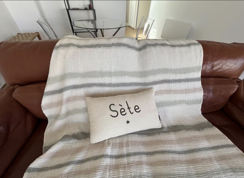 LOCATION SETE RESIDENCE LE CORSAIRE BOUCHARD JEAN-LOUIS (3)