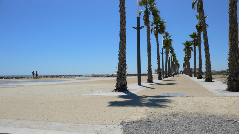 Profiter des vacances, en allant à la plage ou bien en allant promener à pied, en roller, ou en vélo