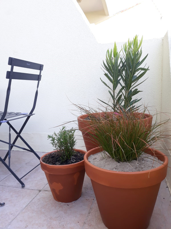 ROCHETTE REMY - STUDIO 1 ETOILE - MARSEILLAN (2) ROCHETTE REMY - STUDIO 1 ETOILE - MARSEILLAN (2)