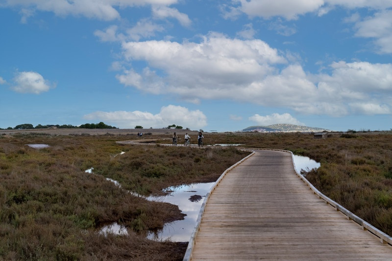 Une piste cyclable est disponible sur les bords du Bassin de Thau