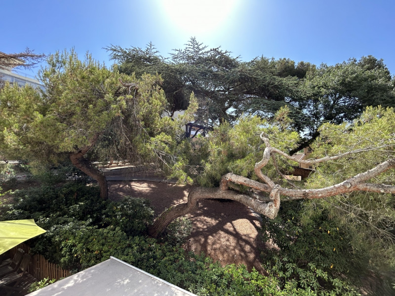 Vue_de_lappartement_(2)