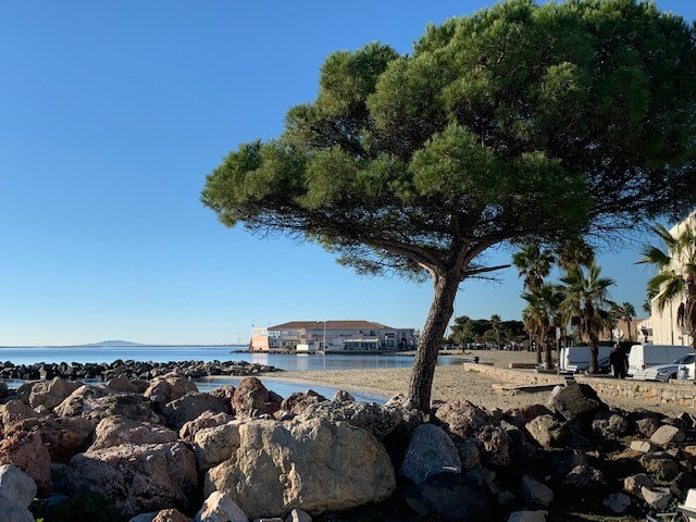 _lv_images__lot_0000000381_07_19191448 _lv_images__lot_0000000381_07_19191448