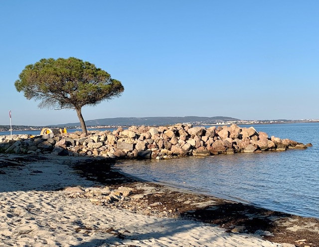 _lv_images__lot_0000000381_11_19058934