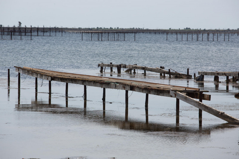 _lv_images__lot_0000000405_09_19170082