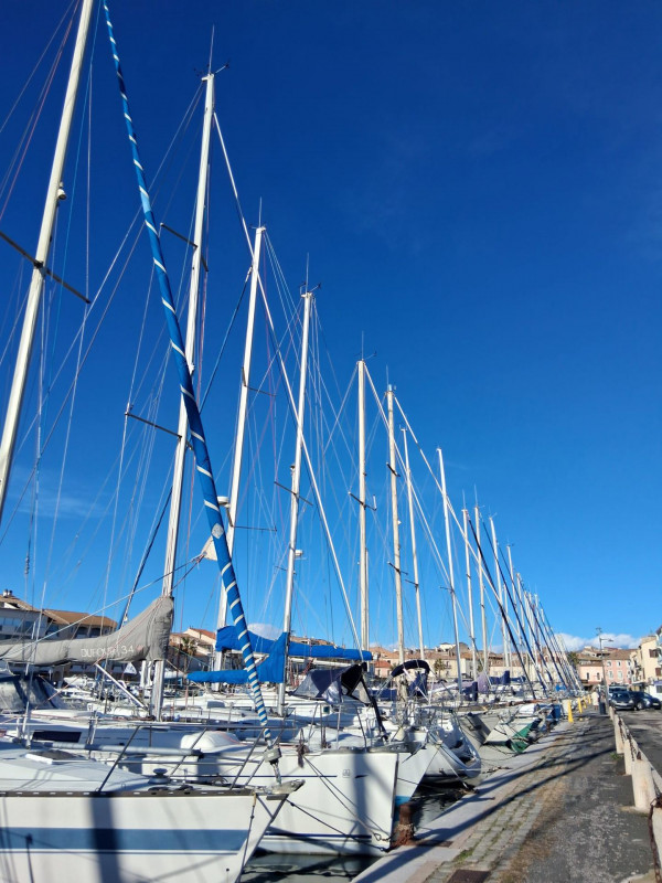 _lv_images__lot_0000000453_14_19031110 _lv_images__lot_0000000453_14_19031110