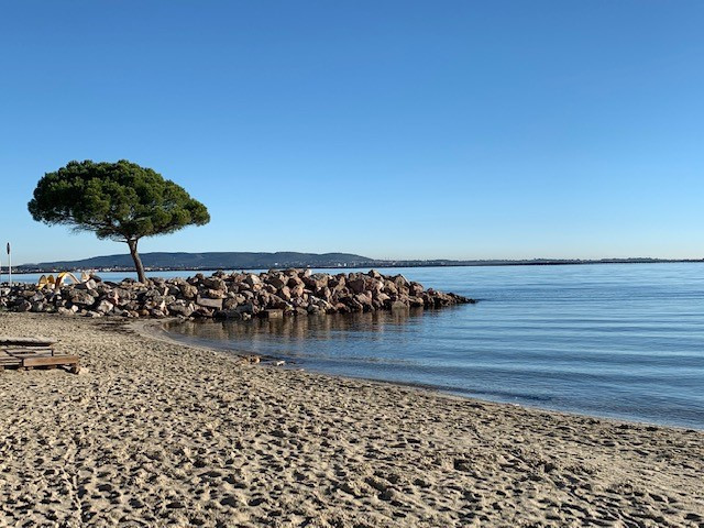 _lv_images__lot_0000000461_14_19177470