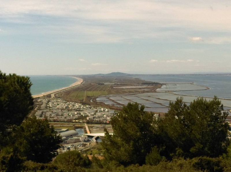 _lv_images__lot_0000001189_12_18212044 _lv_images__lot_0000001189_12_18212044