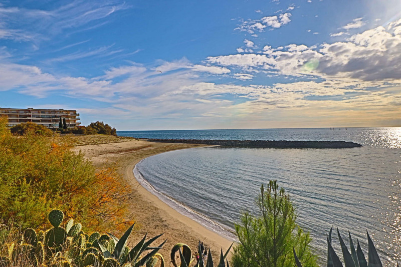 _lv_images__lot_0000002252_11_18370821 _lv_images__lot_0000002252_11_18370821