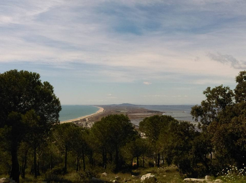 _lv_images__lot_0000002264_15_19506859