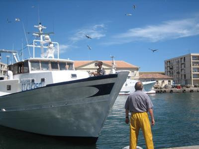 _lv_images__lot_0000002327_07_18371553 _lv_images__lot_0000002327_07_18371553