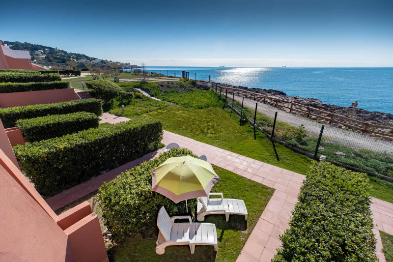 _lv_images__lot_0000002430_01_19351811