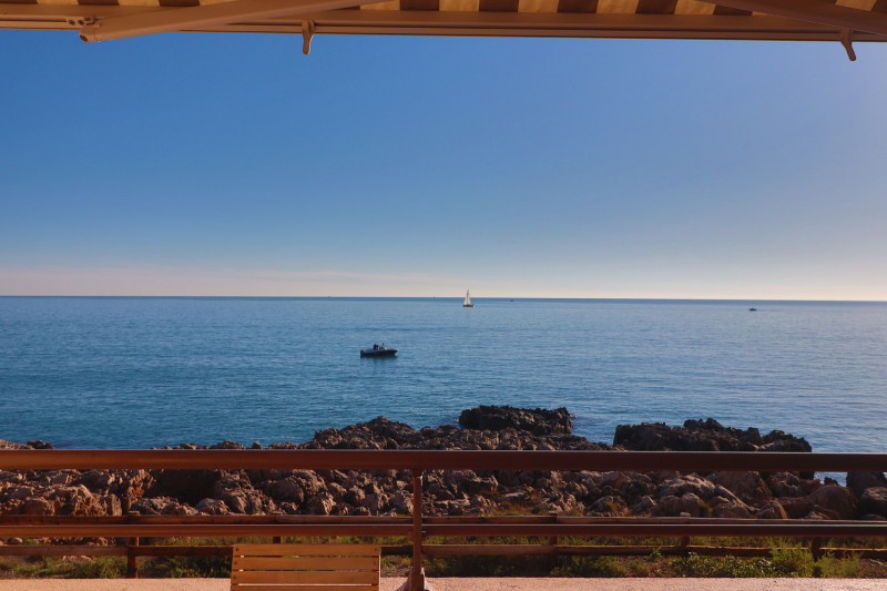 _lv_images__lot_0000002488_02_18369876 _lv_images__lot_0000002488_02_18369876