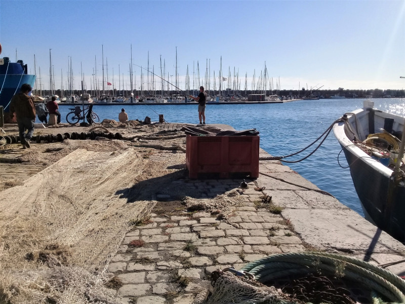 Pêche et Plaisance.jpg
