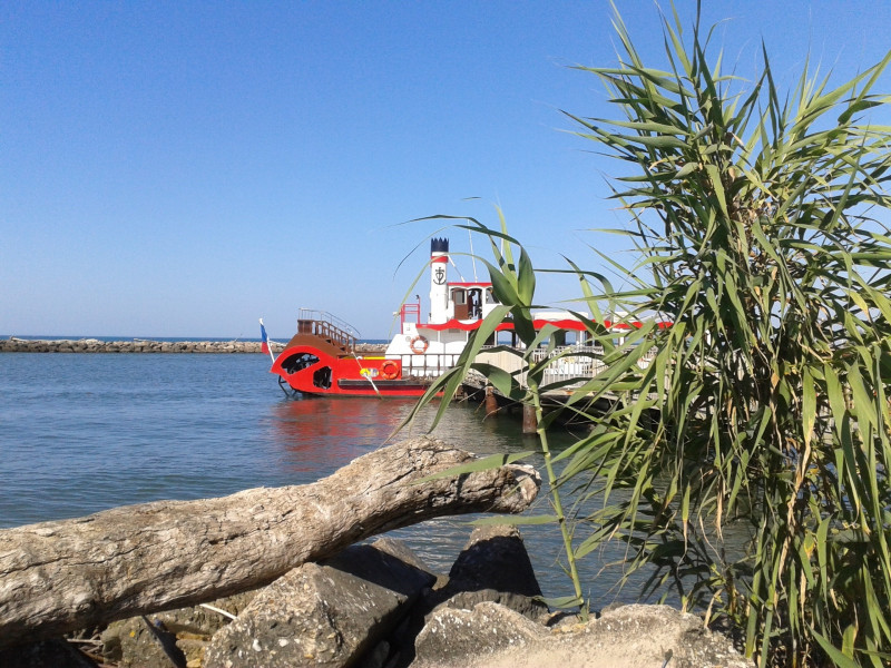 bateau-camargue-8261692-16394193