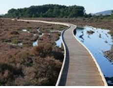 bois-des-aresquiers-8098732