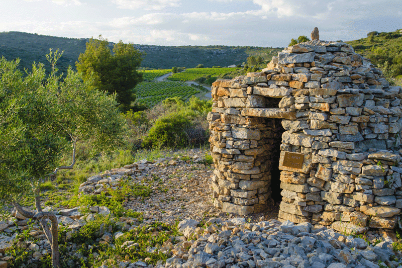 Capitelle - Massif de la Gardiole