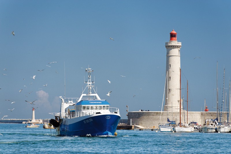 Port de pêche - Sète