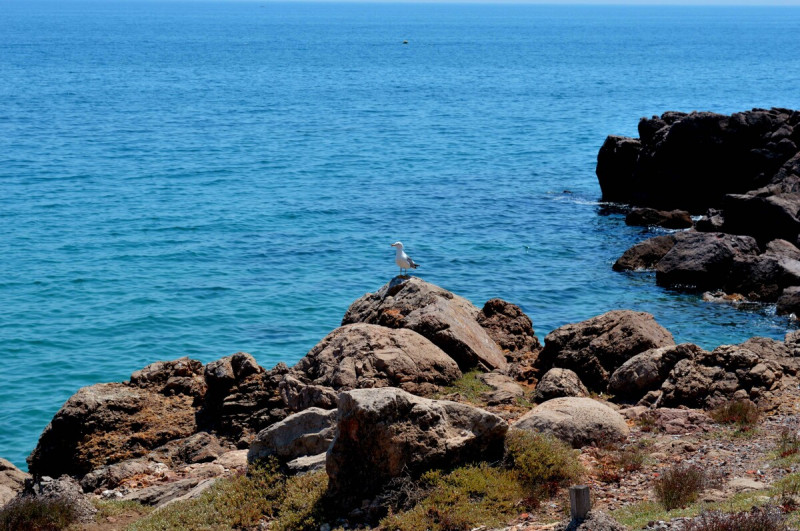 criques-corniche-vigie-l-caravano-ot-thau-15036-1200px-14525756