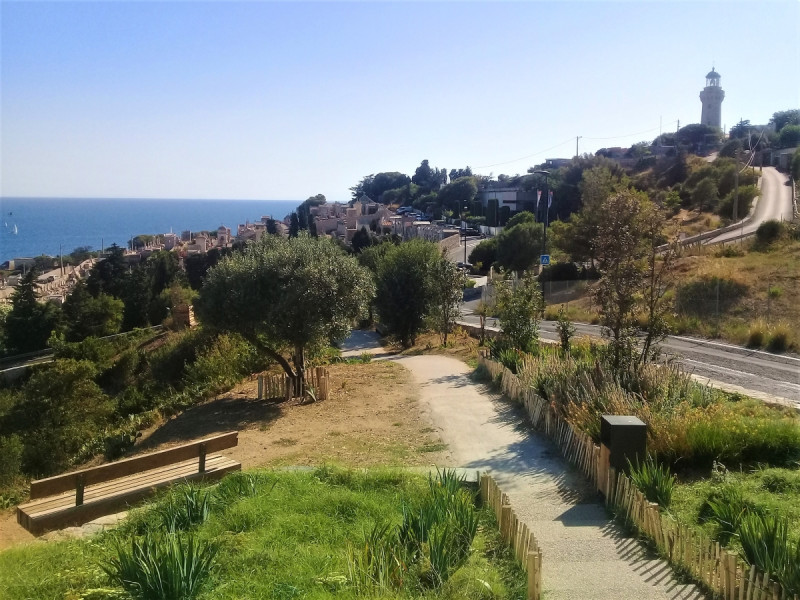 Vue verte et bleue.jpg