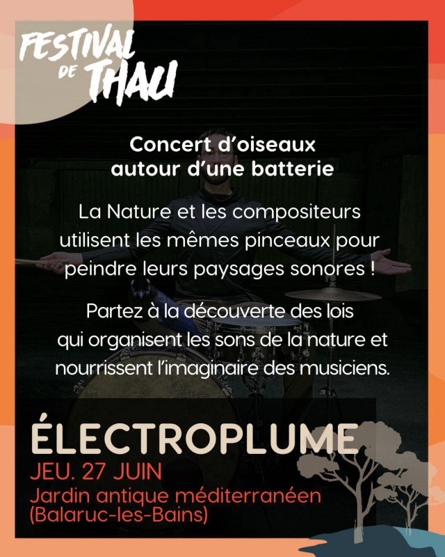 electroplume-festival-de-thau-12744610