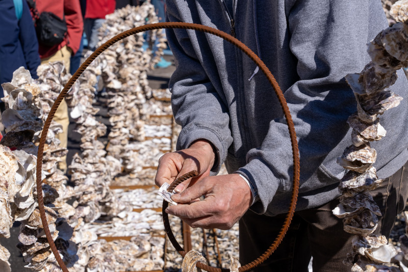 ESCALE À SÈTE 2026 : FÊTE DES TRADITIONS MARITIMES