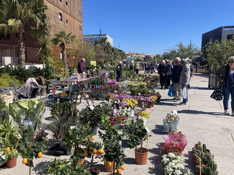 floraliesavril23-16474835