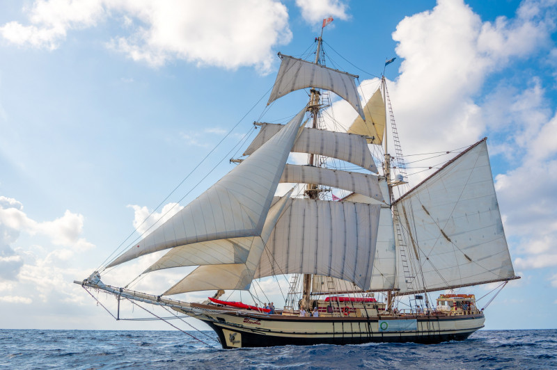 florette-img-3400-18954538 florette-img-3400-18954538