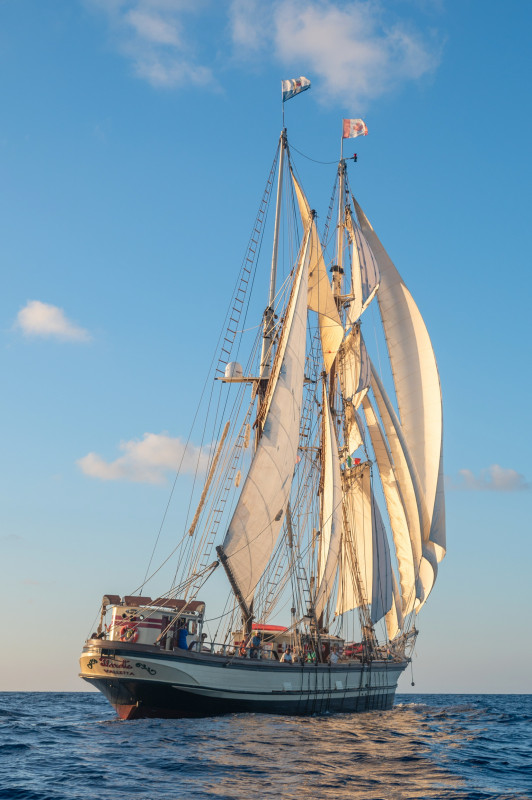 florette-img-3412-18954537 florette-img-3412-18954537