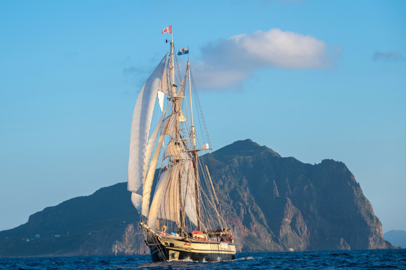 florette-img-3413-18954536 florette-img-3413-18954536