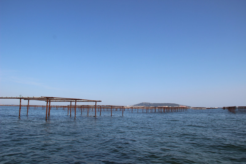 img-2574-10763454