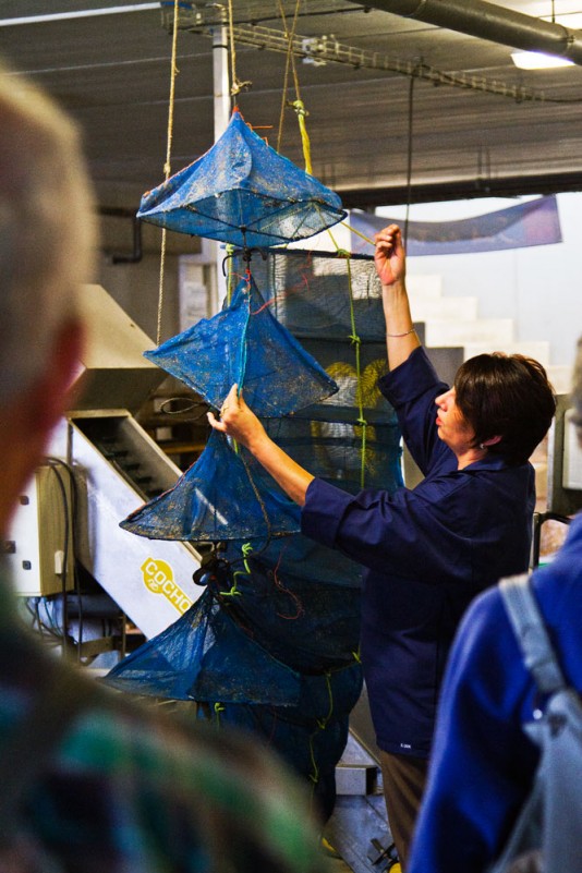 k-y-caussel-la-noisette-d-oc-2-4916701 k-y-caussel-la-noisette-d-oc-2-4916701