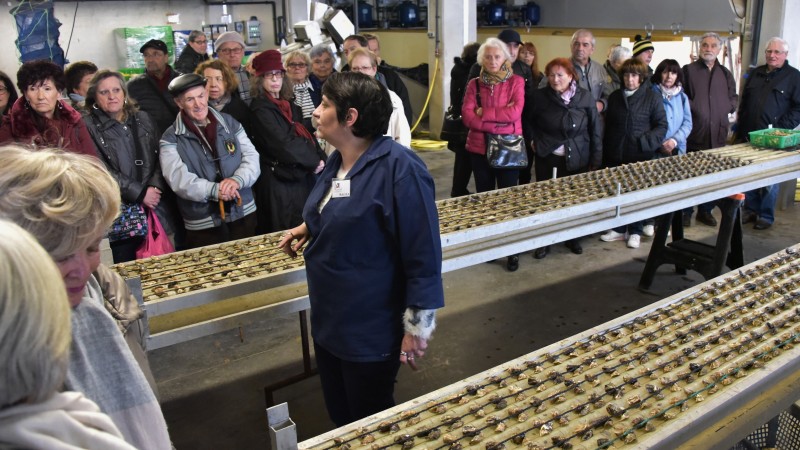 k-y-caussel-la-noisette-d-oc-4-4916705 k-y-caussel-la-noisette-d-oc-4-4916705